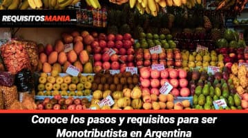 Requisitos para ser monotributista 