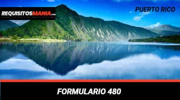 Formulario 480
