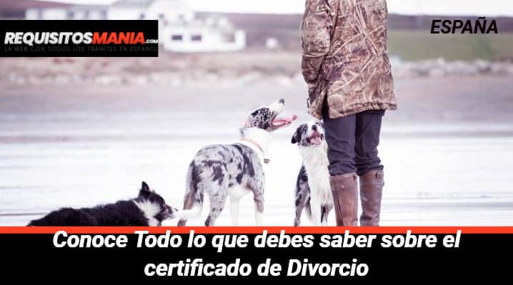 Certificado de Divorcio 			