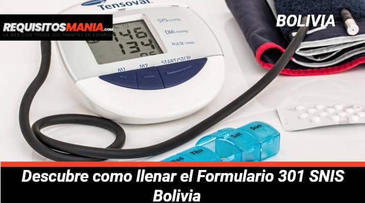 Formulario 301 SNIS Bolivia 			