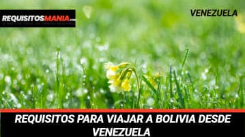 Requisitos para viajar a Bolivia desde Venezuela 