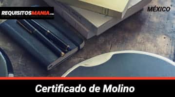 Certificado de Molino 
