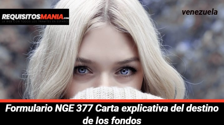 Formulario NGE 377 